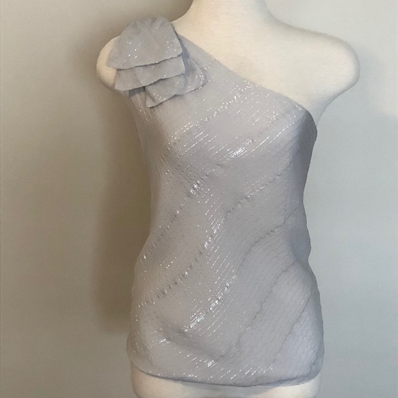 Like-New Club Monaco One-Shoulder Silver/Grey Top - Picture 1 of 14